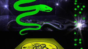 Uncover the mysteries of The Serpent story